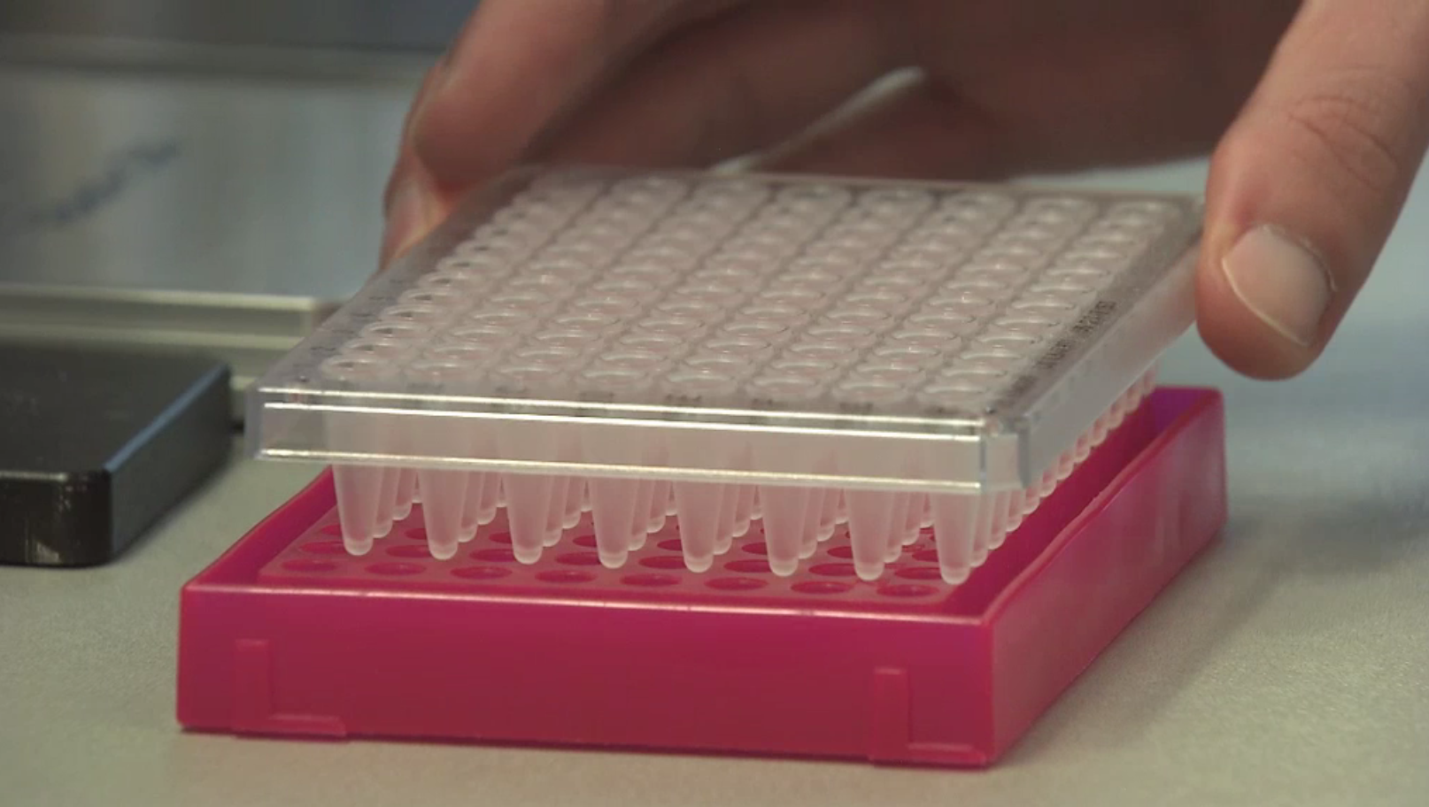 New batch of DNA samples for whole genome sequencing