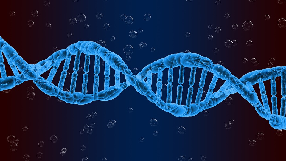 Mega analysis reveals new ALS risk regions in DNA